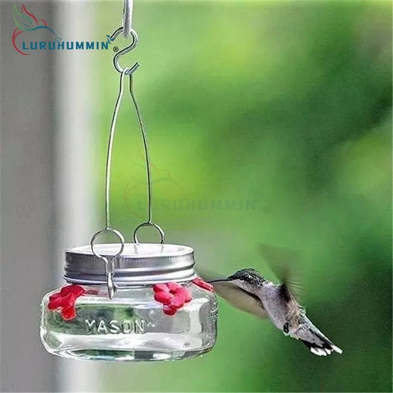 Balkong Hummingbird Matare